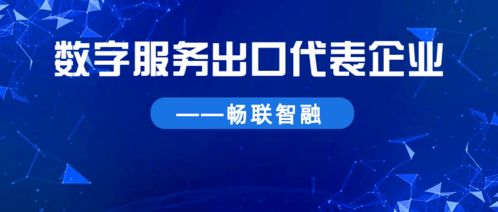 聚焦数字服务出口 服务为本，畅联全球数字技术服务